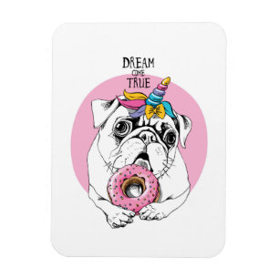 Riktig dröm- kom magnet