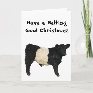 Riktig God Jul Bältad Galloway Beltie Ko Kort
