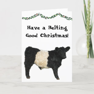 Riktig God Jul Bältad Galloway Beltie Ko Kort