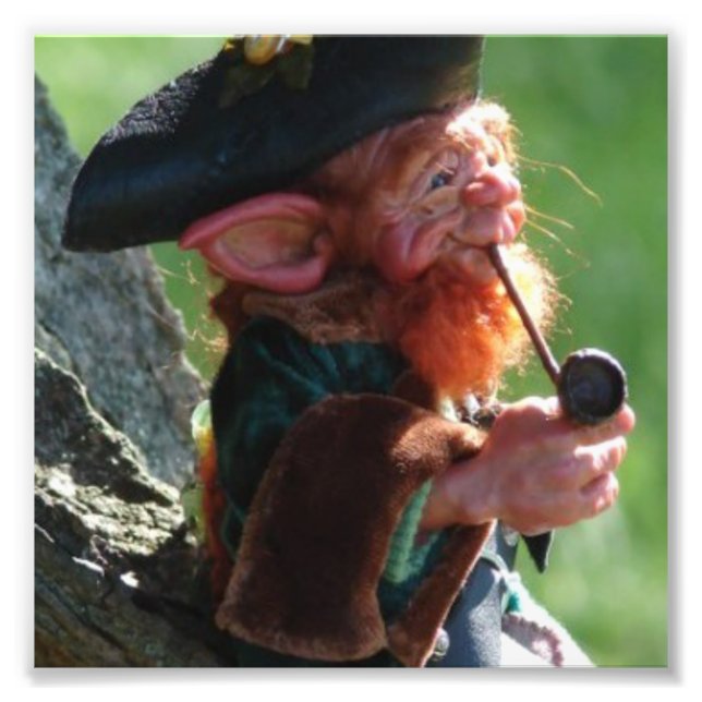 riktig leprechaun fototryck (Framsidan)