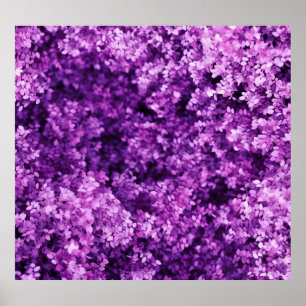 Riktig trikå, texturerad bakgrund. poster
