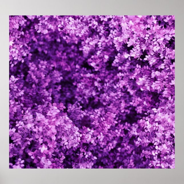 Riktig trikå, texturerad bakgrund. poster (Framsidan)