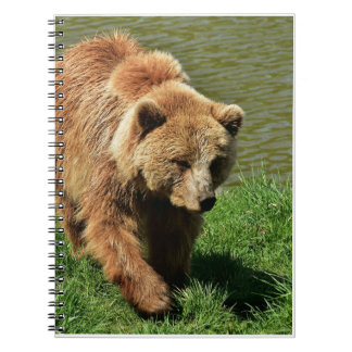Riktiga björngåvor,Grizzly Bear,Grizzly Bear Journ Anteckningsbok