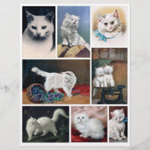 Riktiga (inte AI) bilder på vita katter från den v