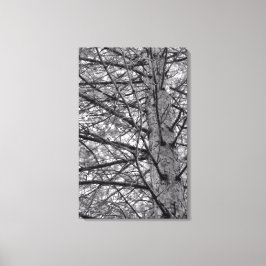 Riktningen för Gräs Träd Canvastryck