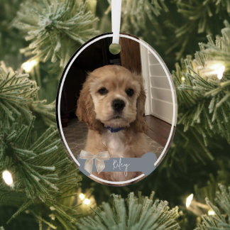 Riley Anpassningsbar Pet Photo jul Ornament