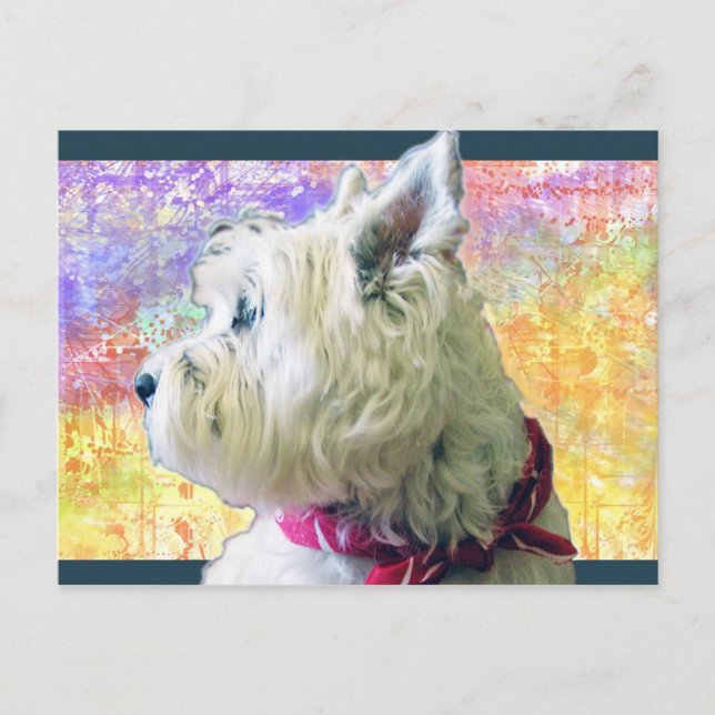 RILEY I FÄRG VYKORT (Framsida)