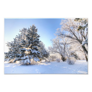 Rime Frost i Yorkton SK Fototryck