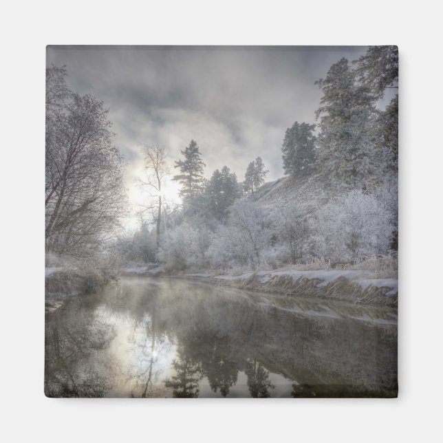 Rimfrost längs en sänka på Kelly Island Magnet (Framsidan)