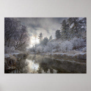 Rimfrost längs en sänka på Kelly Island Poster