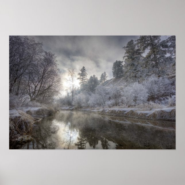 Rimfrost längs en sänka på Kelly Island Poster (Framsidan)