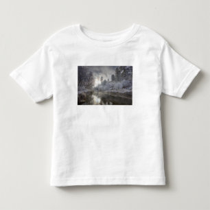Rimfrost längs en sänka på Kelly Island Tee