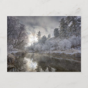 Rimfrost längs en sänka på Kelly Island Vykort