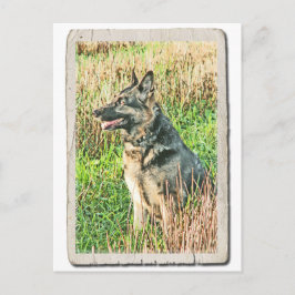 Rin Tin Tin-gratulationskort för vykort