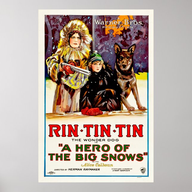Rin Tin Tin -  Hund Poster (Framsidan)