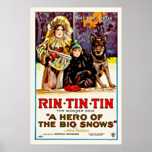 Rin TinTin - den undra hunden Poster