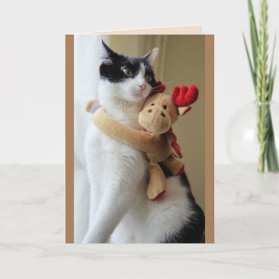 Rindemedel och gratulationskort för katt kort