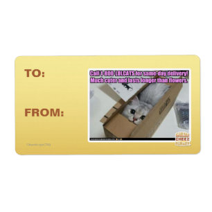 Ring 1-800-LOLCATS Fraktsedel