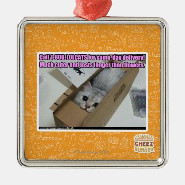 Ring 1-800-LOLCATS Julgransprydnad Metall (Framsidan)