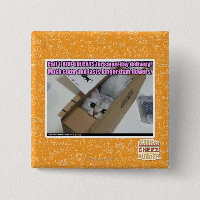 Ring 1-800-LOLCATS Knapp (Framsida)