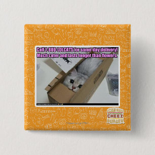 Ring 1-800-LOLCATS Knapp