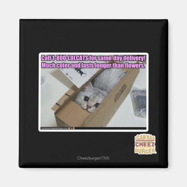 Ring 1-800-LOLCATS Magnet (Framsidan)