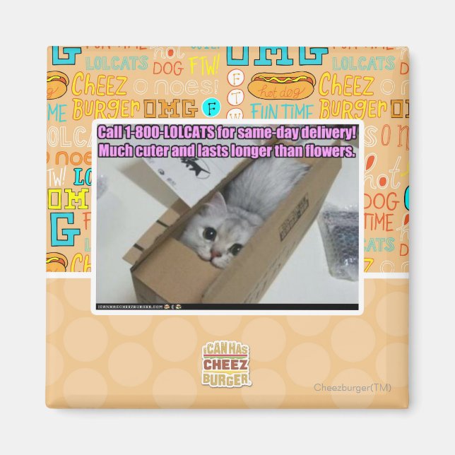 Ring 1-800-LOLCATS Magnet (Framsidan)