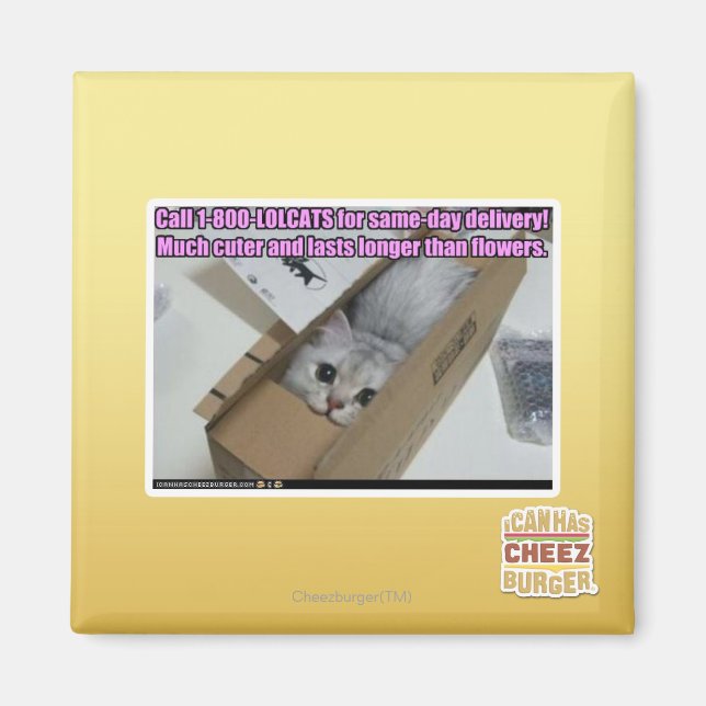 Ring 1-800-LOLCATS Magnet (Framsidan)