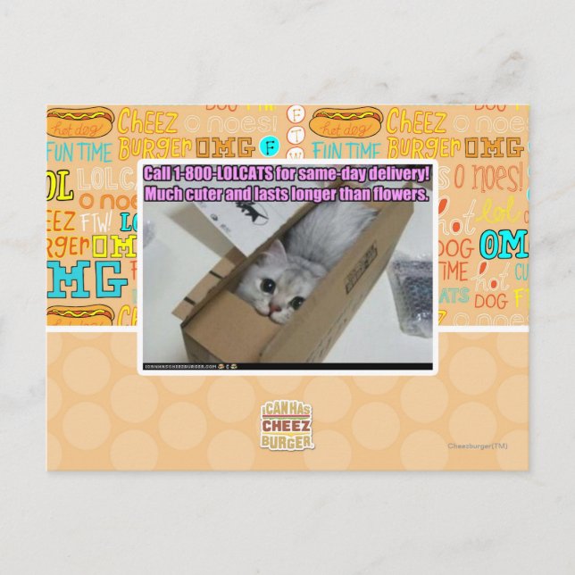 Ring 1-800-LOLCATS Vykort (Framsida)