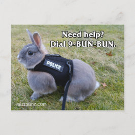 Ring 9 Bun Bun-vykort Vykort