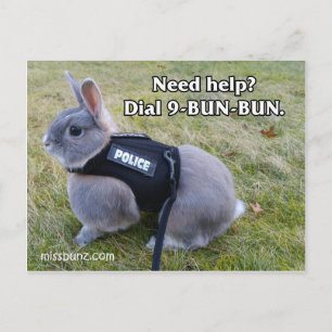Ring 9 Bun Bun-vykort Vykort