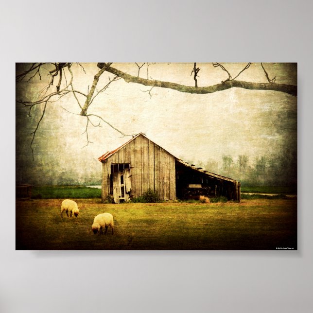 Ring alltid detta hem var du än får roam poster (Framsidan)