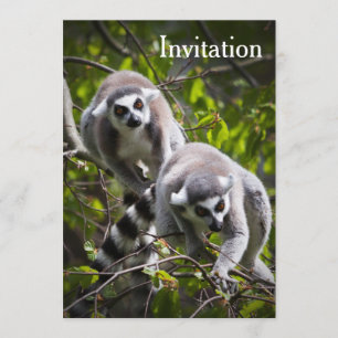 Ring-gästinbjudan Inbjudningar