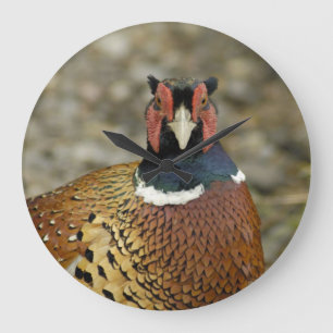 Ring hånglad Pheasant Stor Klocka