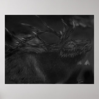 Ring in natten poster