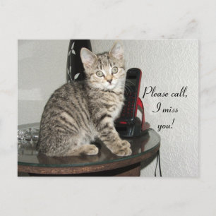 Ring Kattunge Vykort