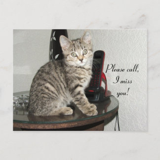 Ring Kattunge Vykort