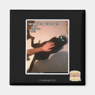 Ring MIB Magnet