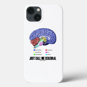 Ring mig Cerebral Brain Anatomy Humor