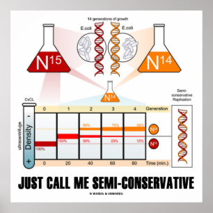 Ring mig mitt halvtidsprogram (DNA-replikering) fö Poster