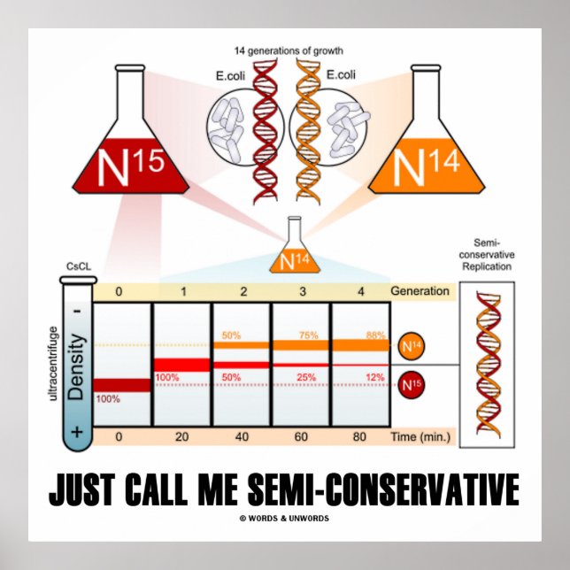Ring mig mitt halvtidsprogram (DNA-replikering) fö Poster (Framsidan)