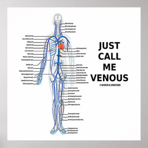 Ring mig Venous Veins Venous System Poster