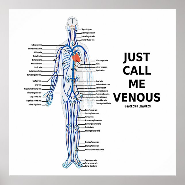 Ring mig Venous Veins Venous System Poster (Framsidan)