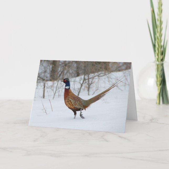 Ring-Nacken pheasanten i snö Julhälsningar kortet Helgkort (Framsida)