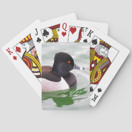 Ring Necked Duck Casinokort