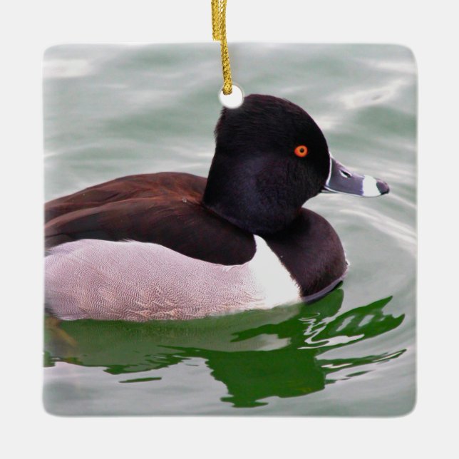 Ring Necked Duck Julgransprydnad Keramik (Framsida)
