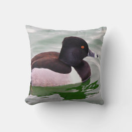 Ring Necked Duck Kudde