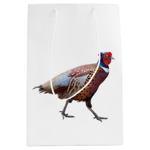 Ring Necked Pheasant