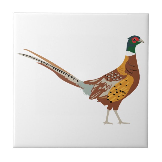 Ring-Necked Pheasant Kakelplatta (Framsidan)