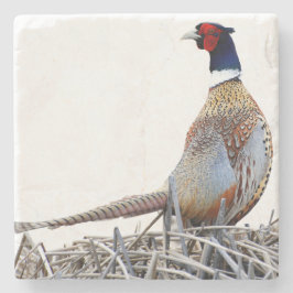 Ring-necked Pheasant Photo Stone Trivet Stenunderlägg
